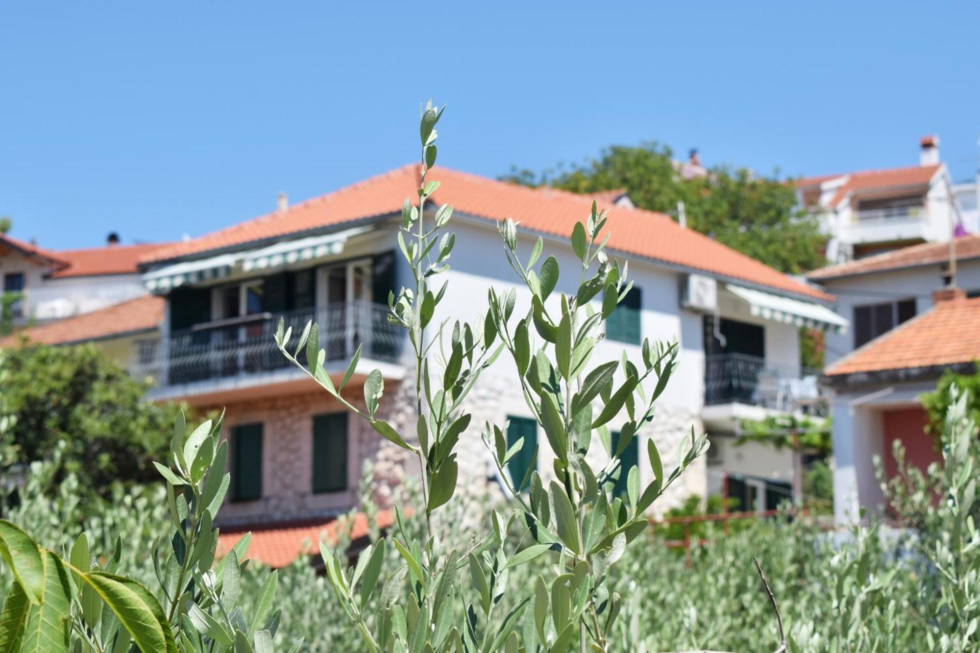 Lina Vrankovic Apartments Hvar Town Exterior photo